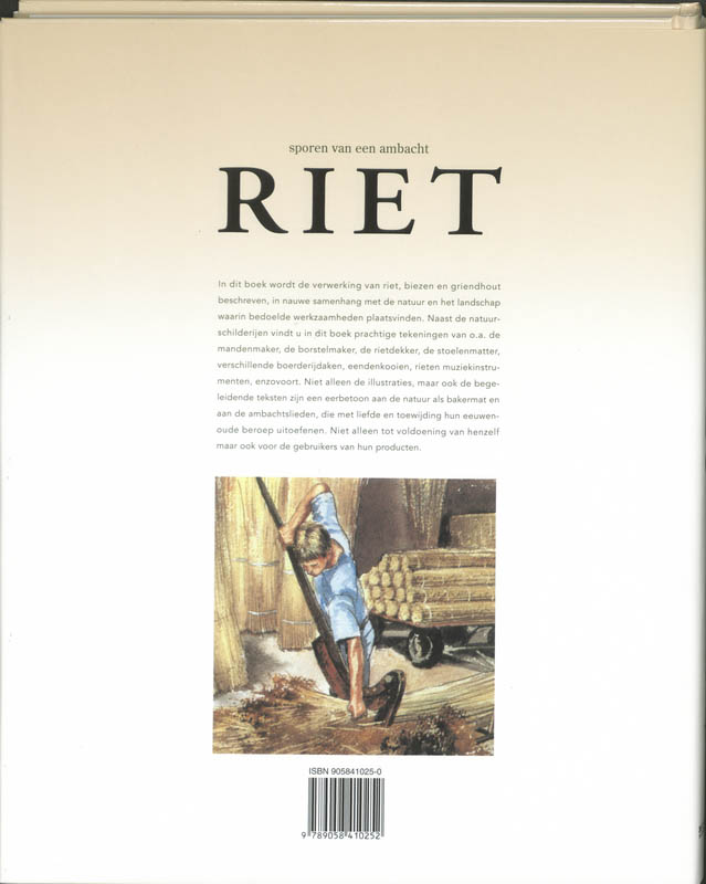Achterkant van Riet