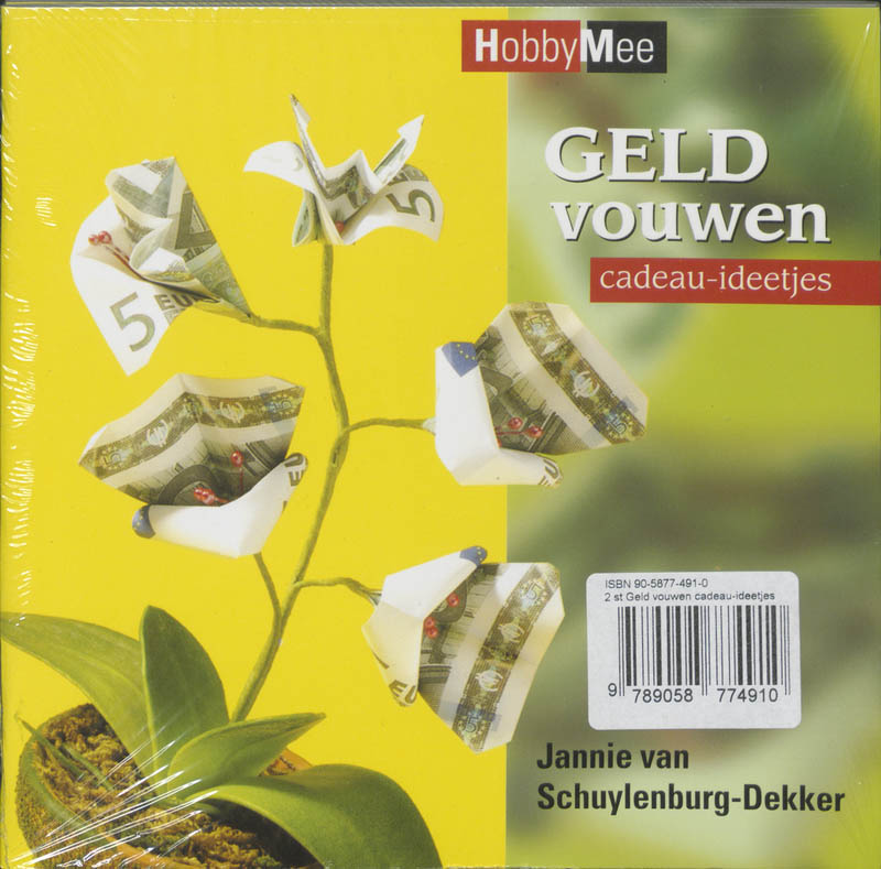 Achterkant van Geld vouwen cadeau-ideetjes set 2 ex