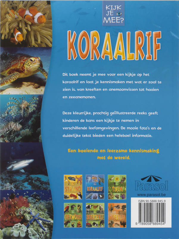 Achterkant van Koraalrif