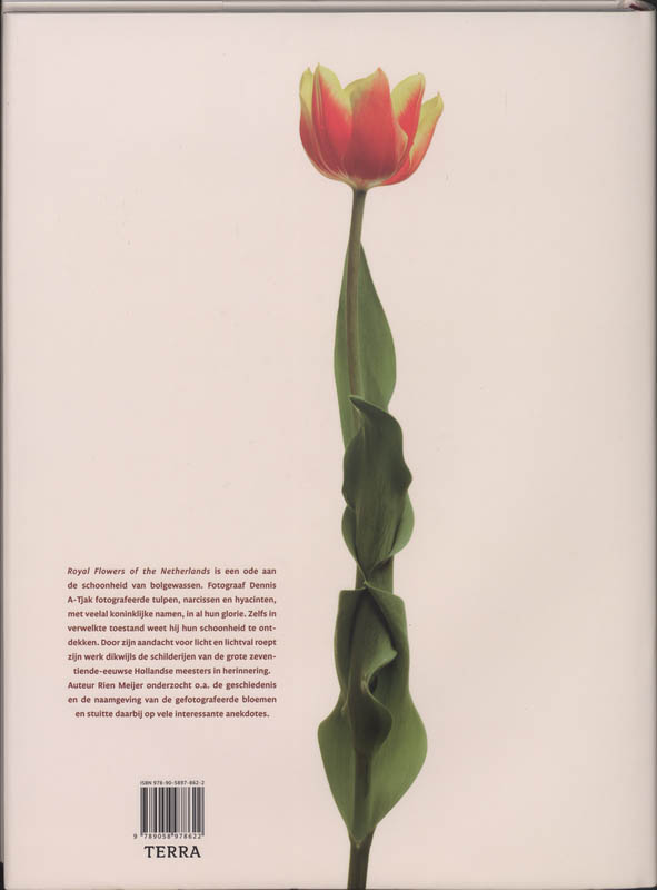 Achterkant van Royal flowers of the Netherlands