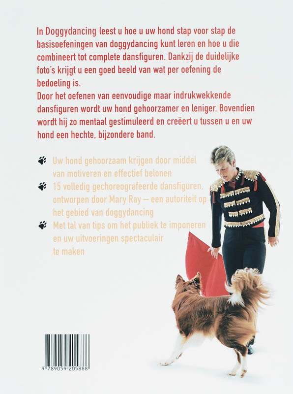 Achterkant van Doggydancing