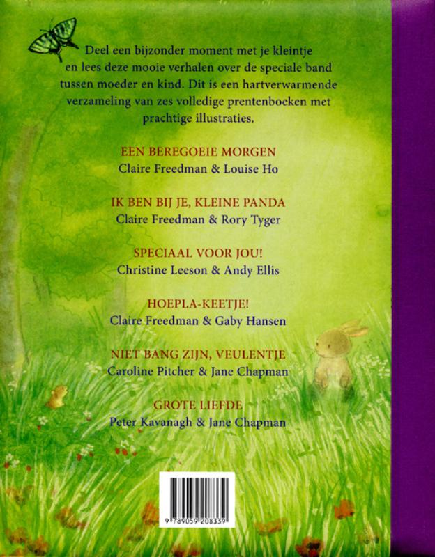 Achterkant van Het grote voorleesboek