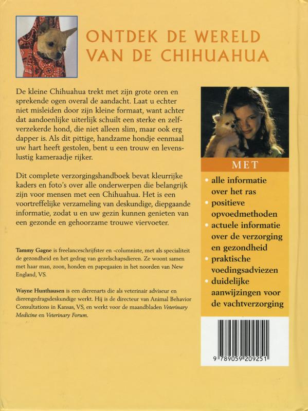 Achterkant van De Chihuahua