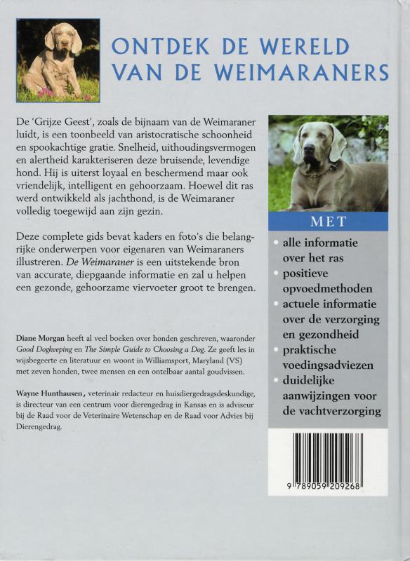 Achterkant van De Weimaraner