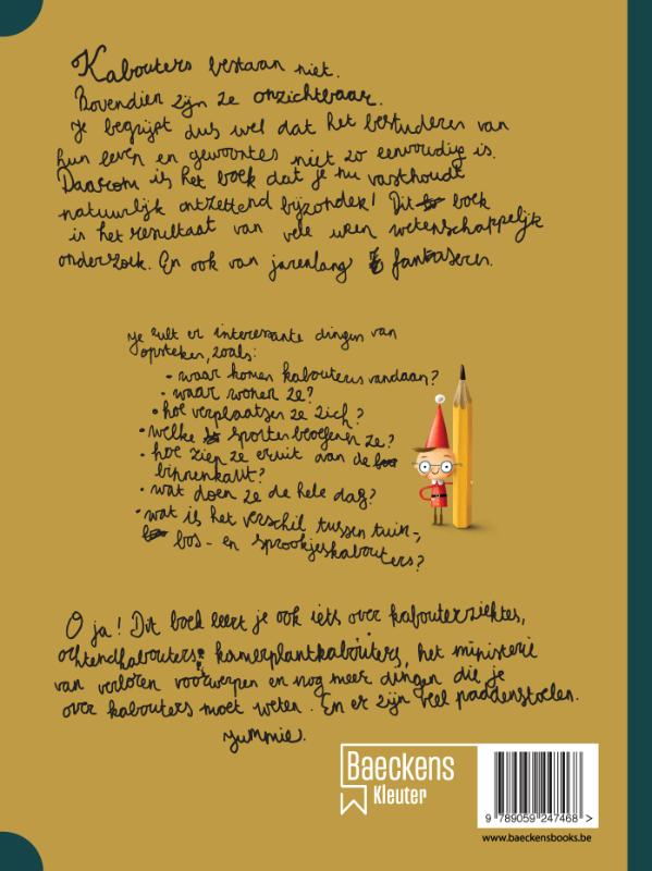 Achterkant van Het grote kabouterboek