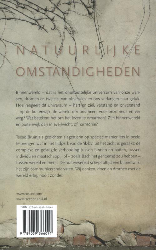 Achterkant van Binnenwereld, buitenwijk, natuurlijke omstandigheden