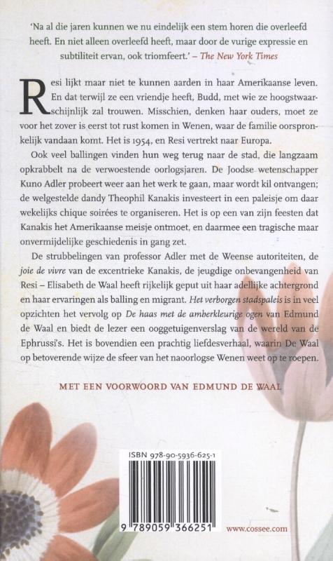 Achterkant van Het verborgen stadspaleis