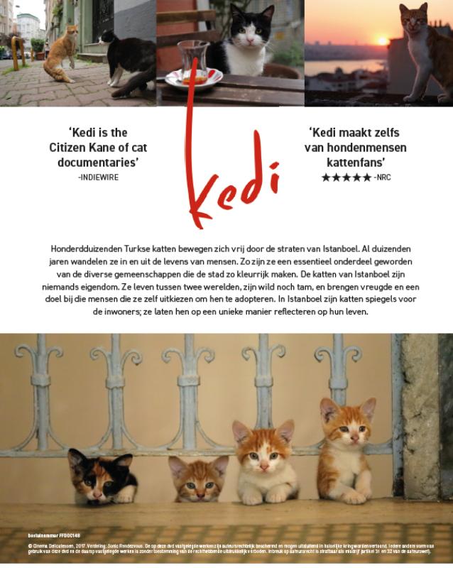 Achterkant van Kedi