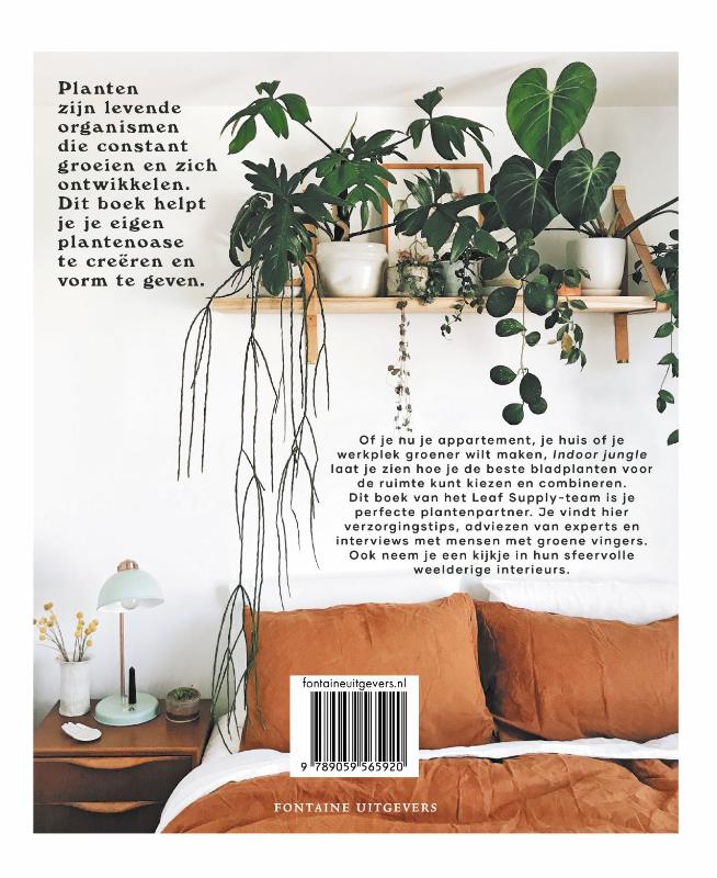 Achterkant van Indoor Jungle