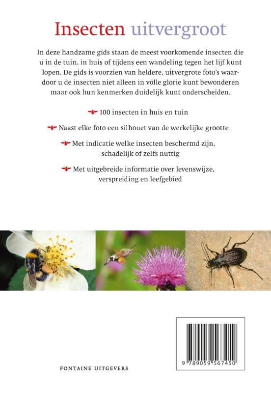 Achterkant van Insecten uitvergroot