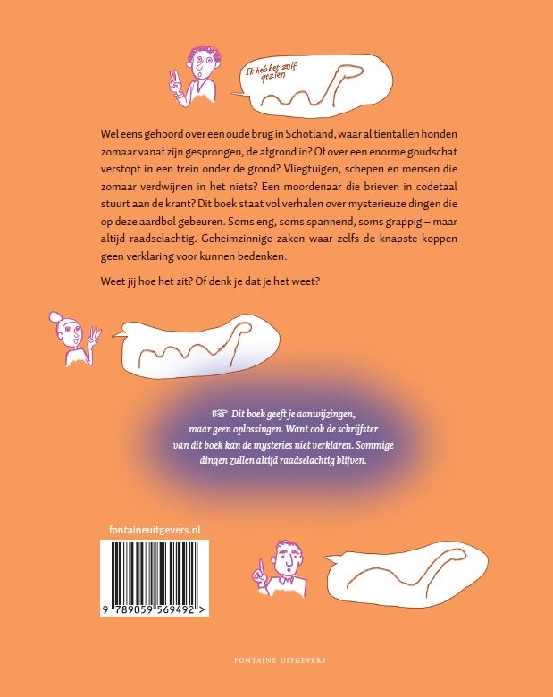 Achterkant van Het grote mysterieboek