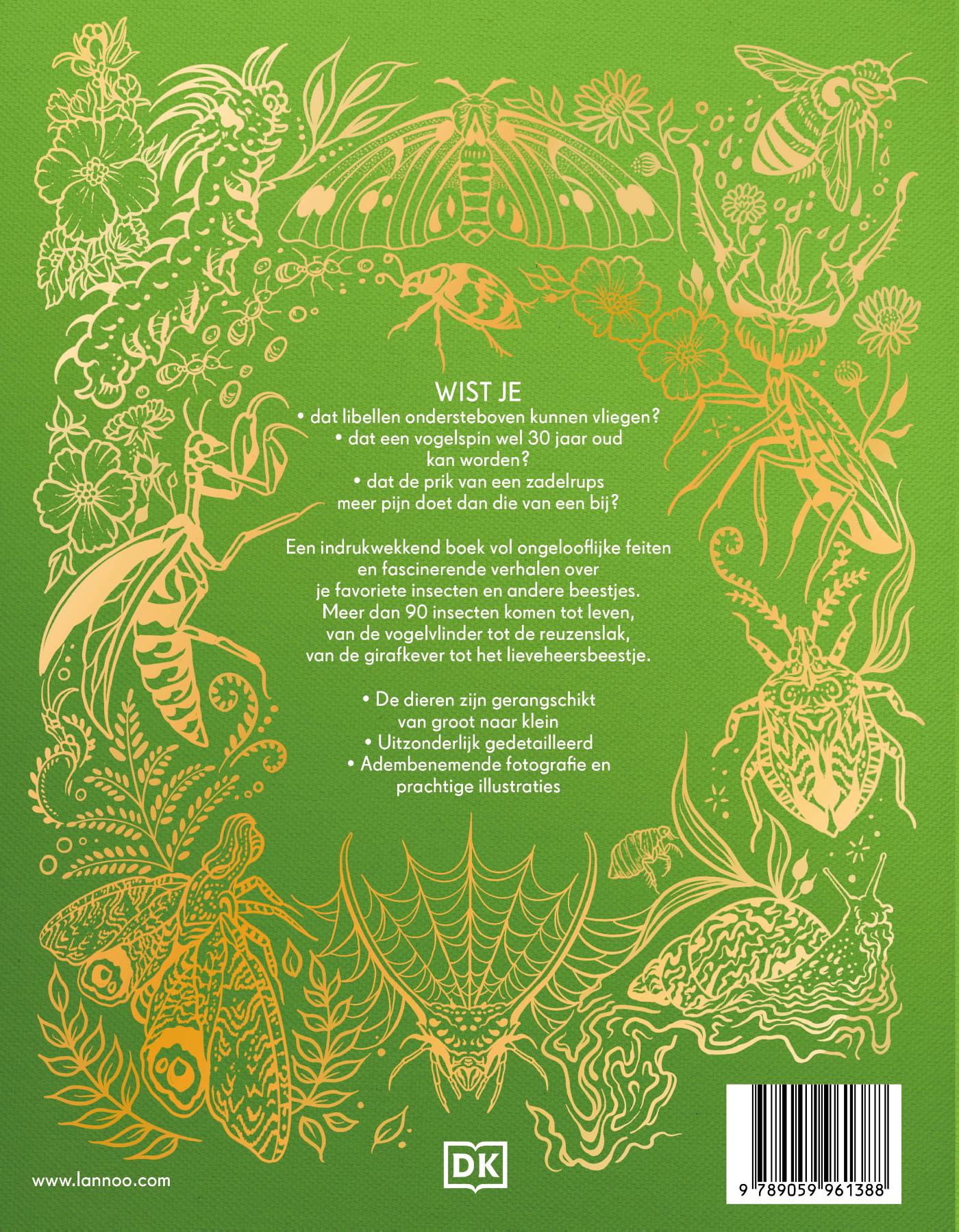 Achterkant van Het dikke boek van alle bijzondere insecten en andere beestjes