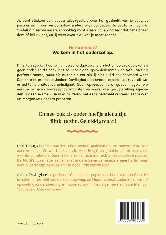 Achterkant van Als het zo zit, dan komt de Sint niet