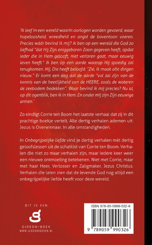 Achterkant van Onbegrijpelijke liefde