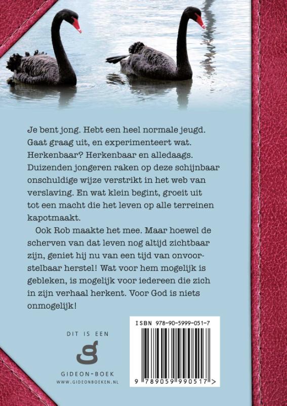 Achterkant van Zó greep God mij in de kraag