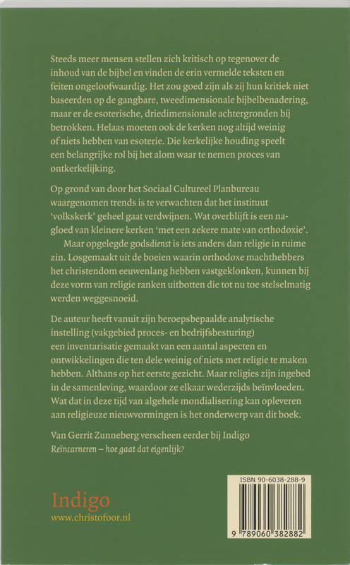 Achterkant van Het ongekende kerstkind