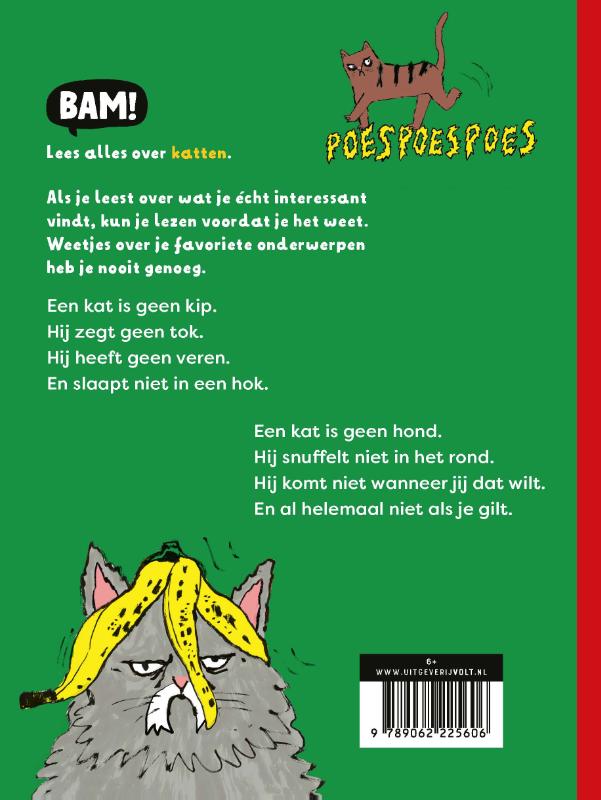 Achterkant van Een kat is geen kip