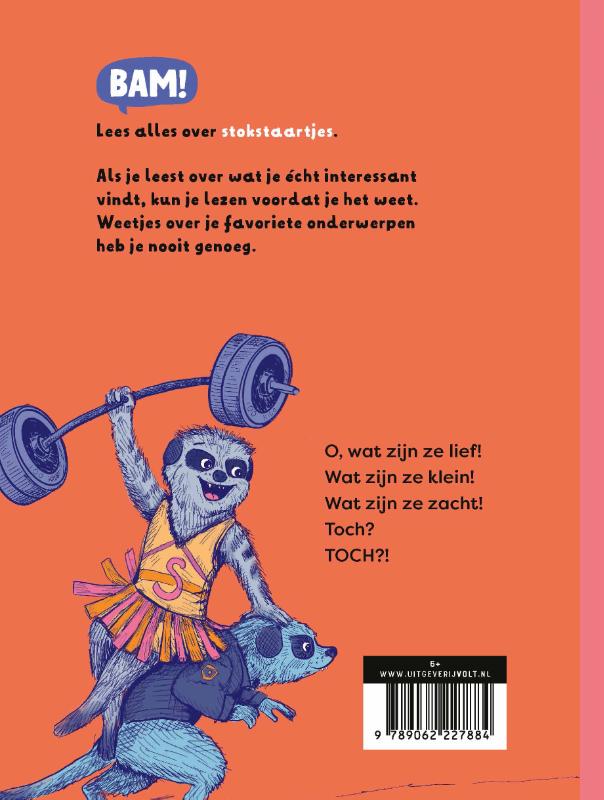 Achterkant van Stokstaartjes!