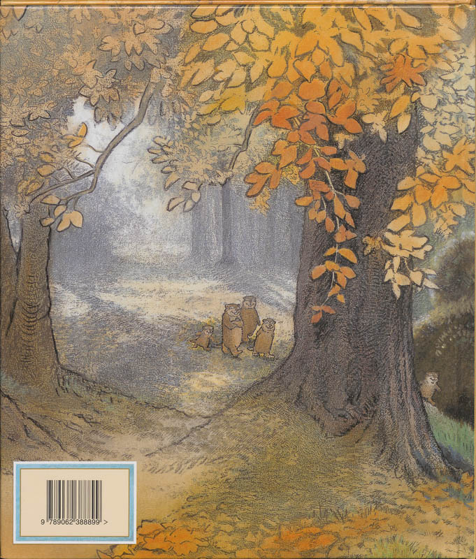 Achterkant van Een huis in het bos