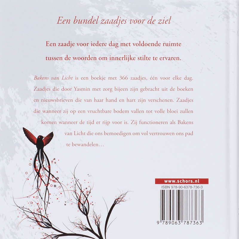 Achterkant van Bakens van Licht