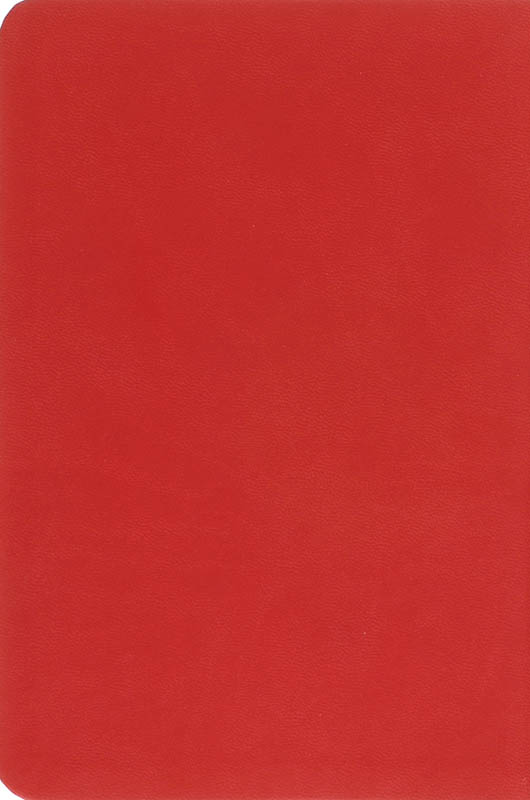 Achterkant van Vivella rood Zilversnee