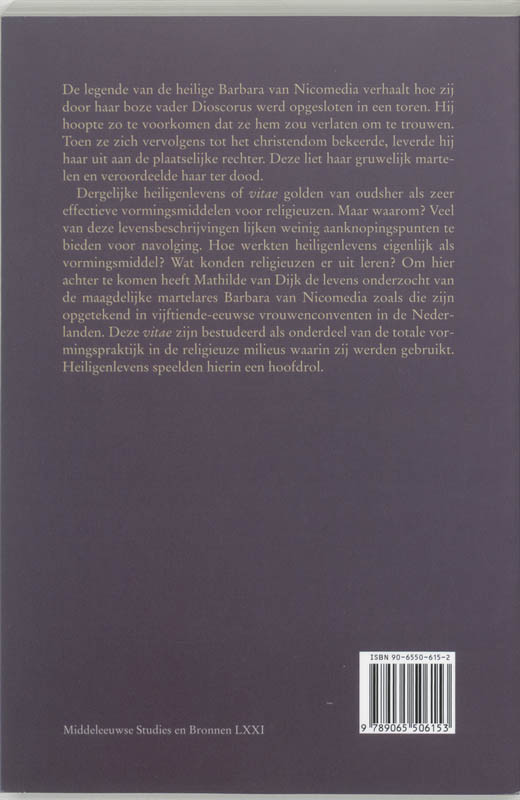 Achterkant van Een rij van spiegels