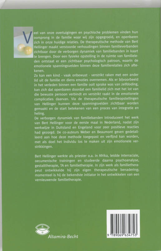 Achterkant van Verborgen dynamiek van familiebanden
