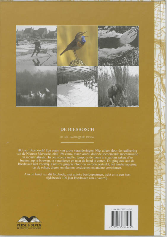 Achterkant van De Biesbosch in de twintigste eeuw