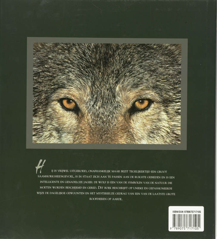 Achterkant van De wolf