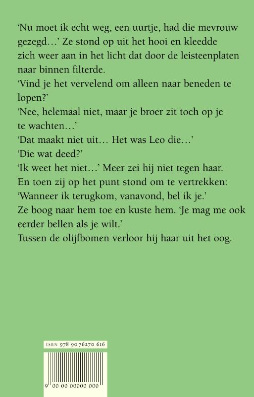Achterkant van De vlucht van de kolibrie
