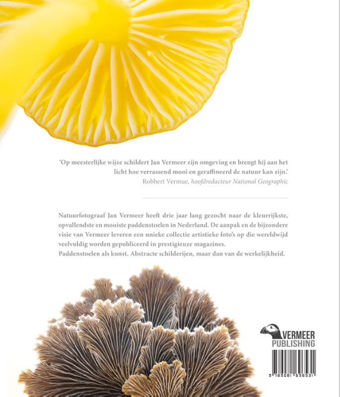 Achterkant van PADDENSTOELEN