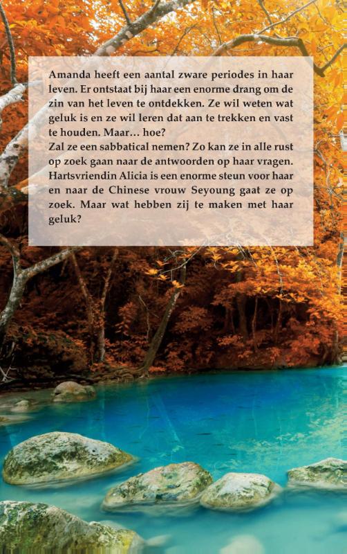 Achterkant van Liefdesgeschenk