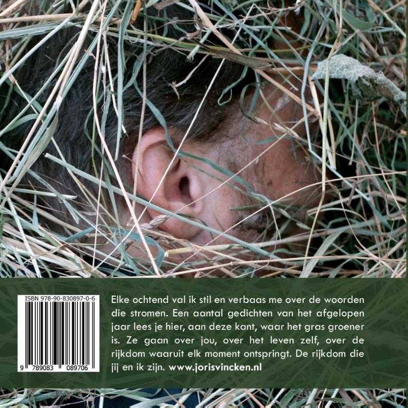 Achterkant van Het gras is groener aan deze kant
