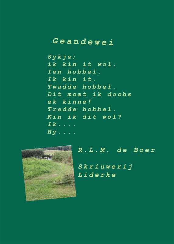 Achterkant van Geandewei
