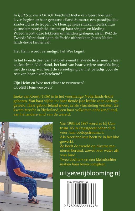 Achterkant van IJsjes op een kerkhof