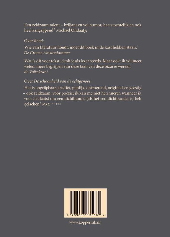 Achterkant van Glas, ironie & God