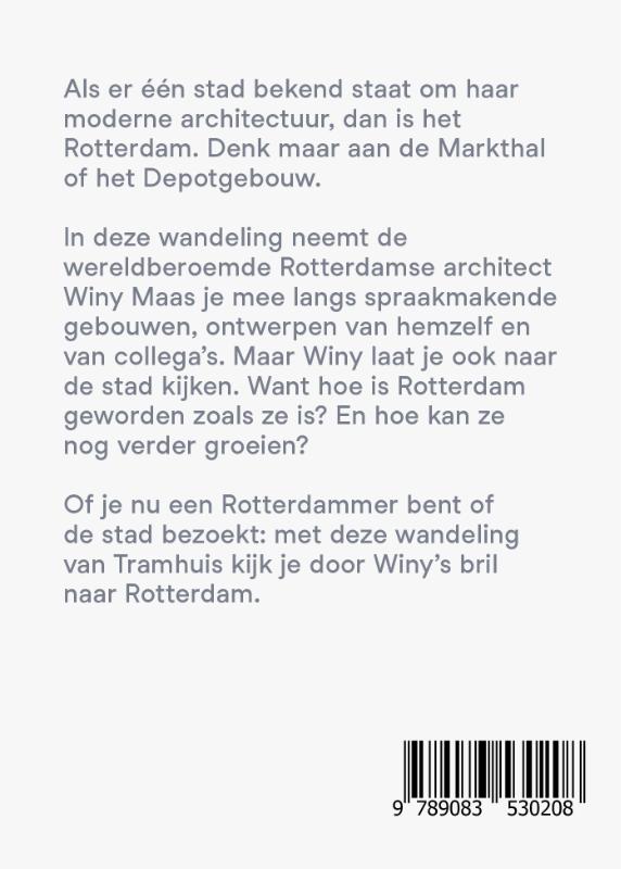 Achterkant van De stad die nooit af is