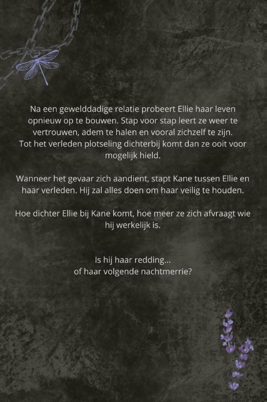 Achterkant van Storm & Reaper
