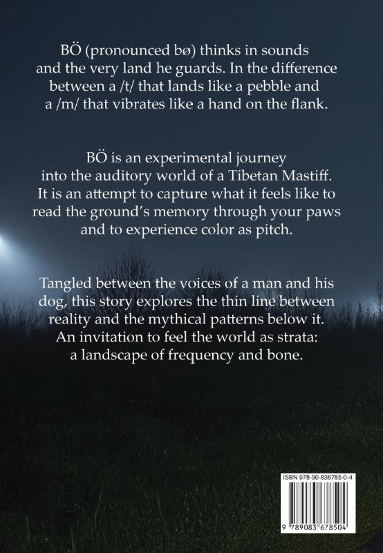 Achterkant van Bö and the Bedrock Pitch