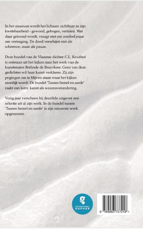 Achterkant van Tussen hemel en aarde