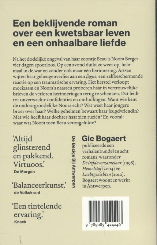 Achterkant van Noora's dwaling
