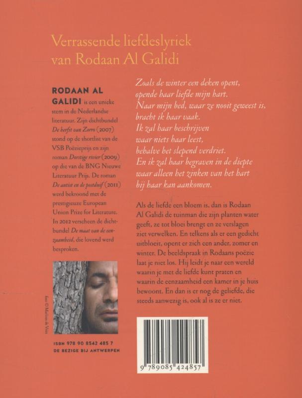 Achterkant van Liever niet, antwoordt de liefde