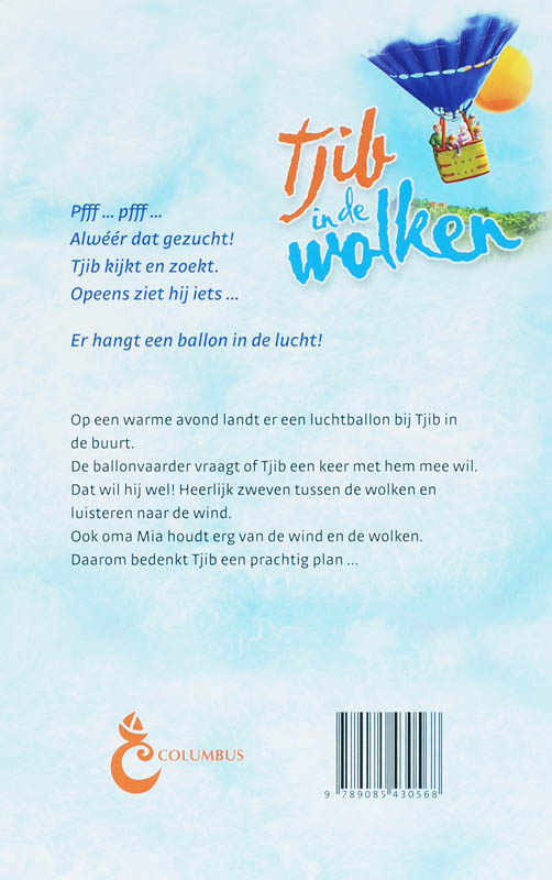 Achterkant van Tjib in de wolken