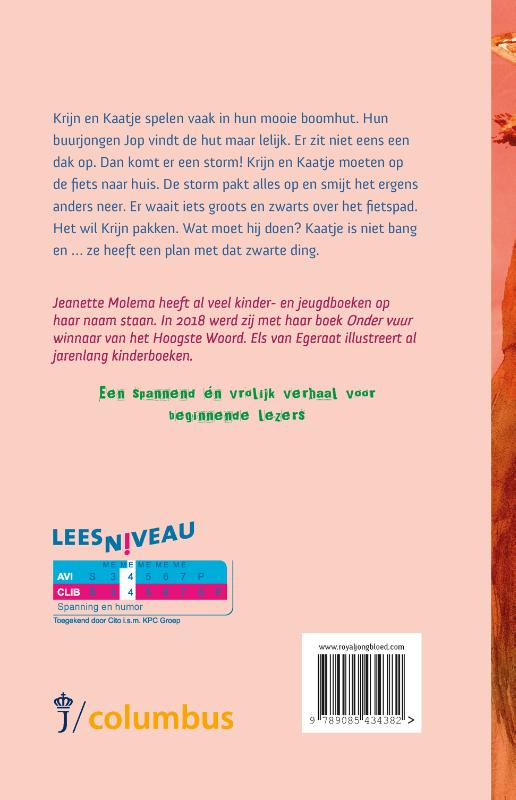 Achterkant van Krijn en Kaatje en het dak van de boomhut