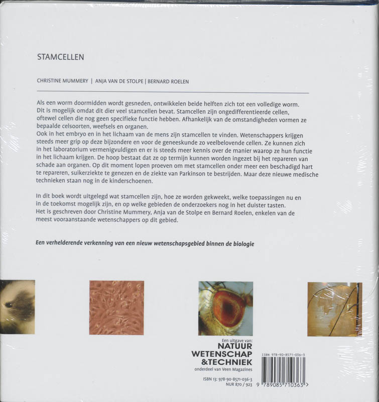 Achterkant van Stamcellen