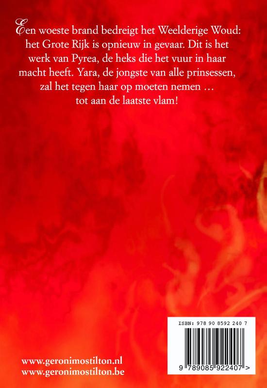 Achterkant van De heks van vuur en vlam