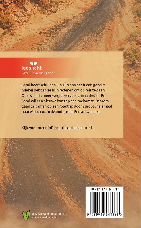 Achterkant van De roadtrip in makkelijke taal