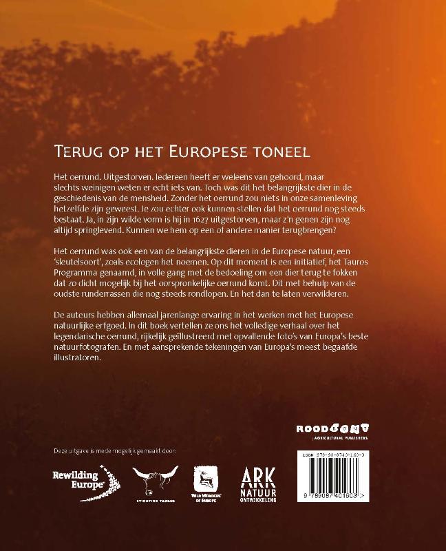 Achterkant van Het oerrund