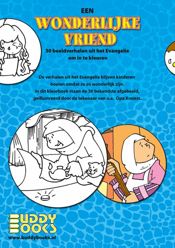 Achterkant van Een wonderlijk verhaal