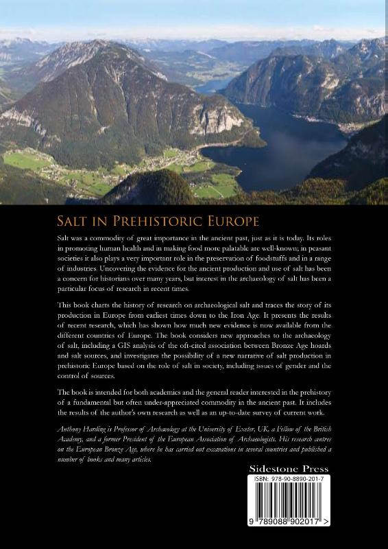 Achterkant van Salt in prehistoric Europe